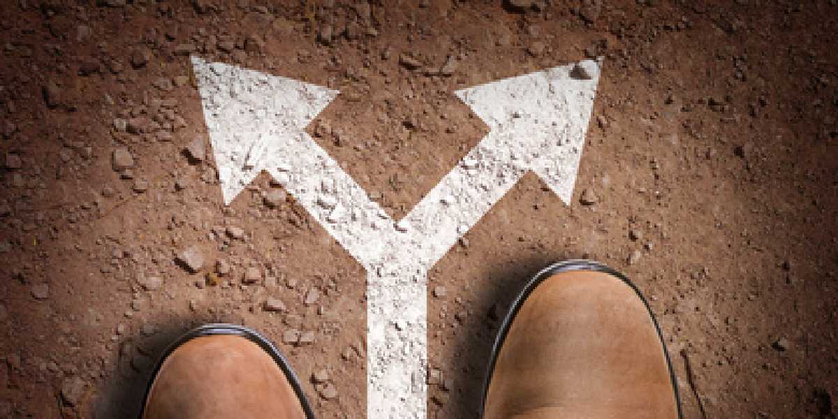 Making the right choice for dewatering of sludge