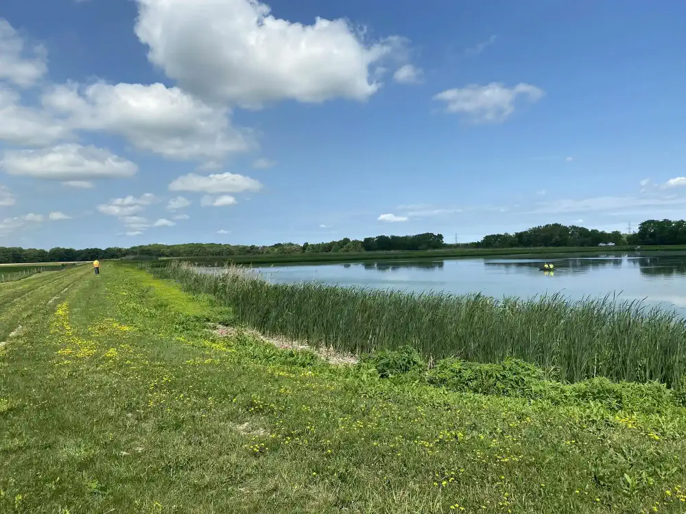 Staff sampling a lagoon